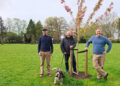 Cherry trees thrive after crowdfunding effort