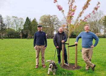 Cherry trees thrive after crowdfunding effort