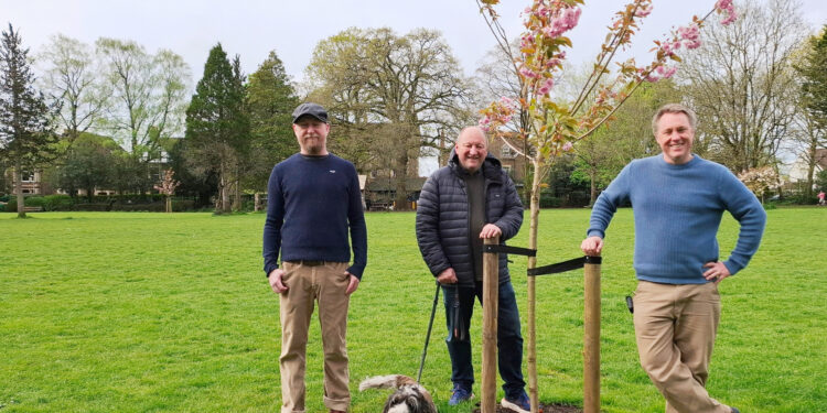 Cherry trees thrive after crowdfunding effort