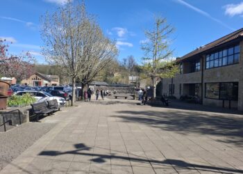 Ideas needed to revitalise Market Yard