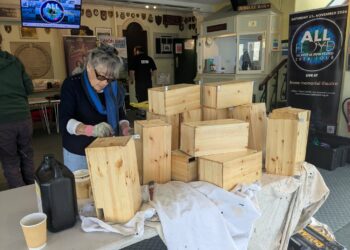 New swift boxes provide homes for migrating birds