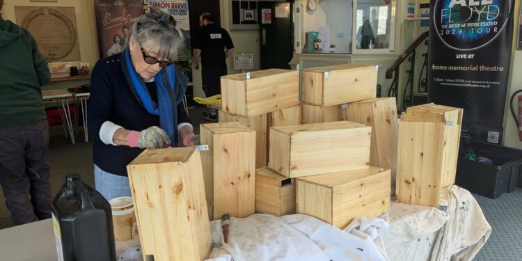 New swift boxes provide homes for migrating birds