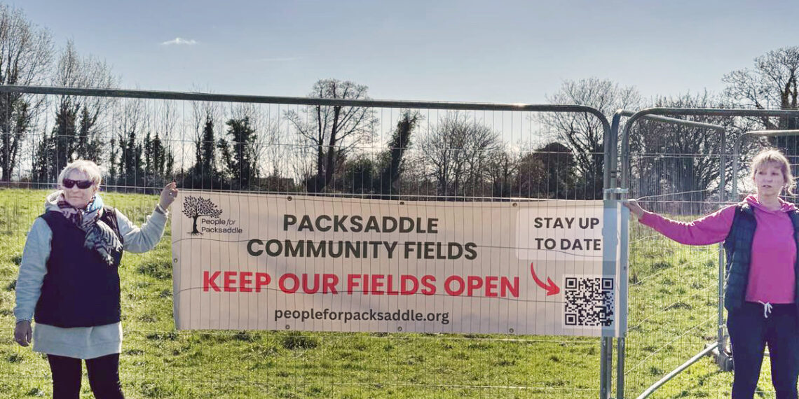 Somerset Council commits to turning Frome green space into homes