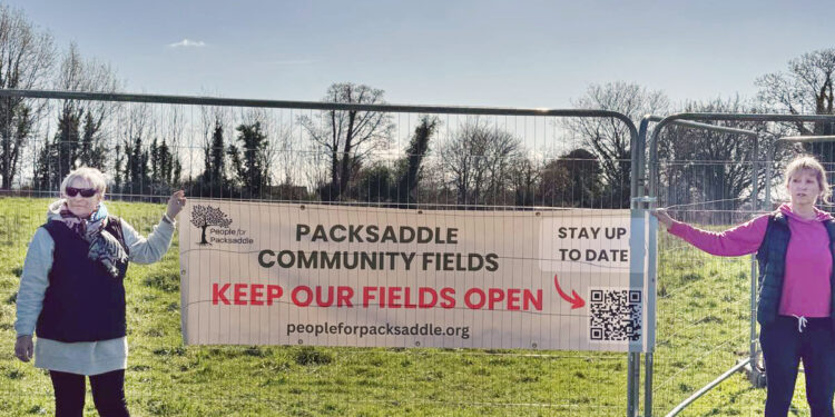 Somerset Council commits to turning Frome green space into homes