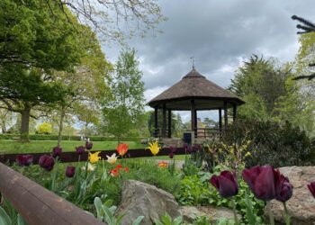 Frome’s Partner Towns Column: Discover Rabka-Zdrój
