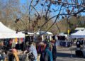 Help shape the future of Frome’s weekly markets