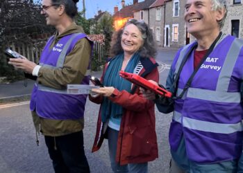 Volunteers spot 11 bat species in Frome