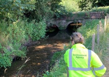 Somerset declared in drought as dry weather continues