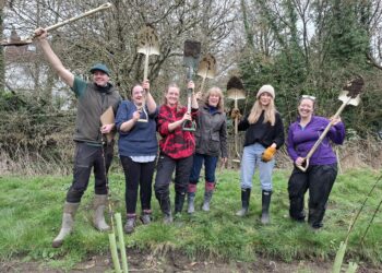 Contribute to Frome’s Nature Recovery Plan