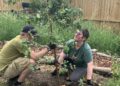 Get involved with Frome’s community gardens