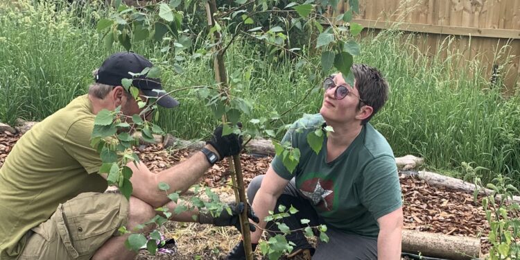 Get involved with Frome’s community gardens