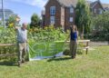 Mark of excellence awarded to Frome green spaces
