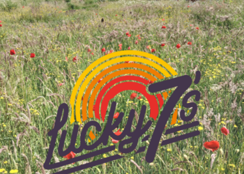 Community vinyl day comes to Vallis Farm