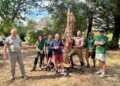 New sculpture gives beloved tree a second life